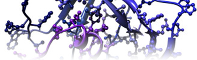 Role of Enzymes in nutrition